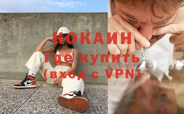 твердый Богородск