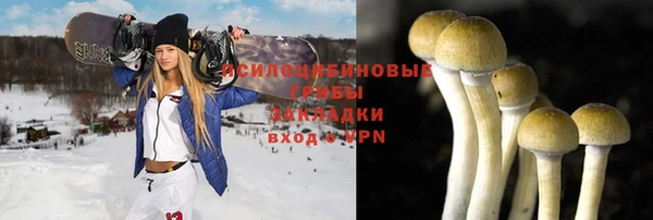 крисы Богородицк