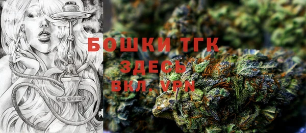 крисы Богородицк