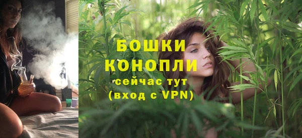 твердый Богородск