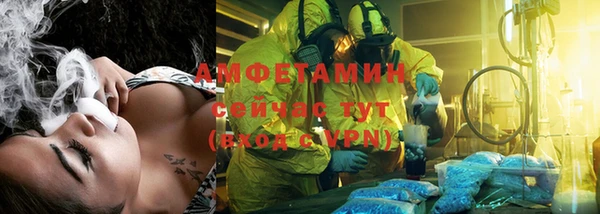 твердый Богородск