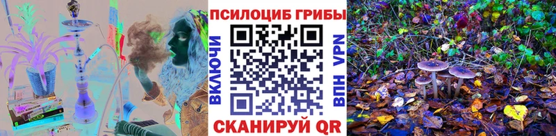 Галлюциногенные грибы MAGIC MUSHROOMS  наркошоп  Бугульма 
